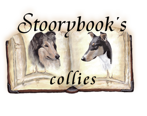 Stoorybooks